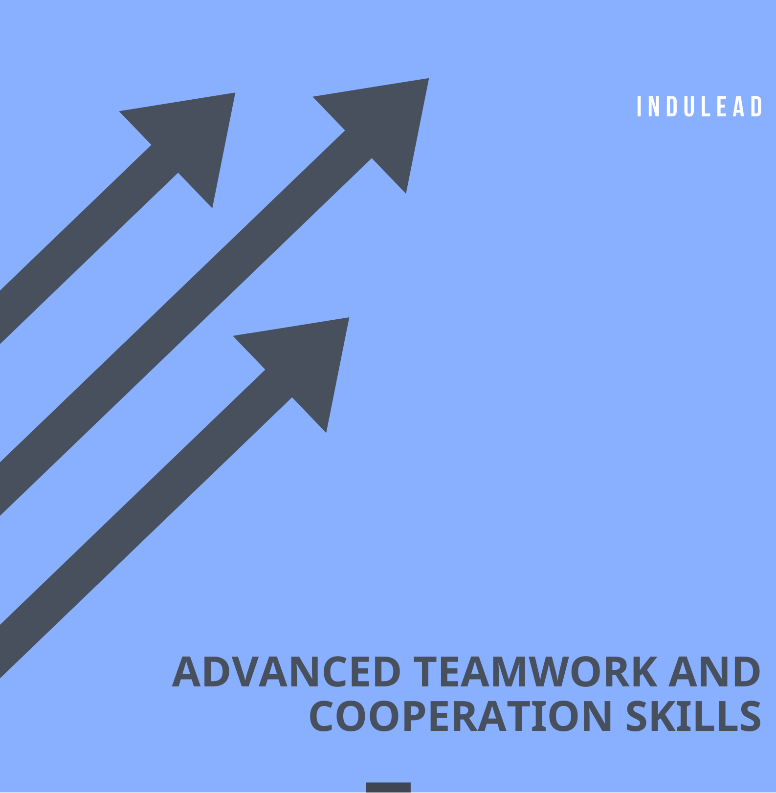 Advanced Teamwork and Cooperation Skills