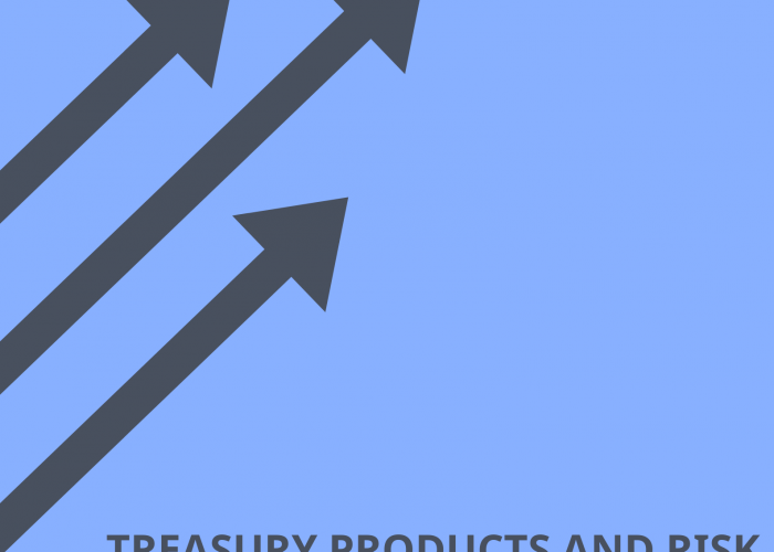 Treasury Products and Risk Management